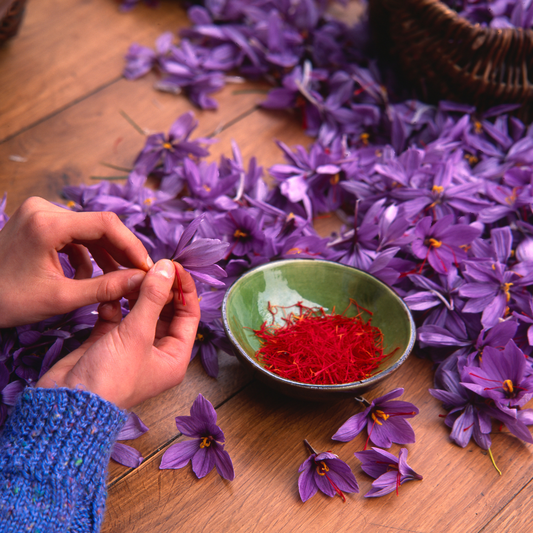 Safran – so gut ist das Gewürz für die Psyche