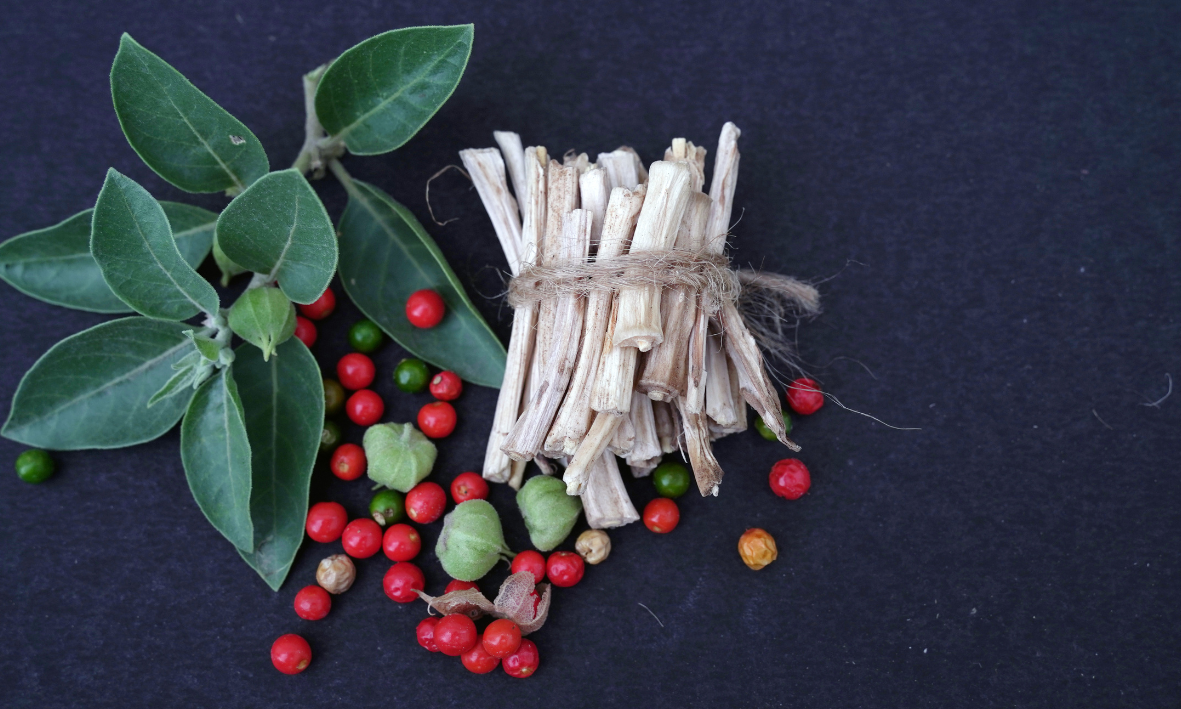 Ashwagandha: Die Wirkung auf Frauen im Fokus