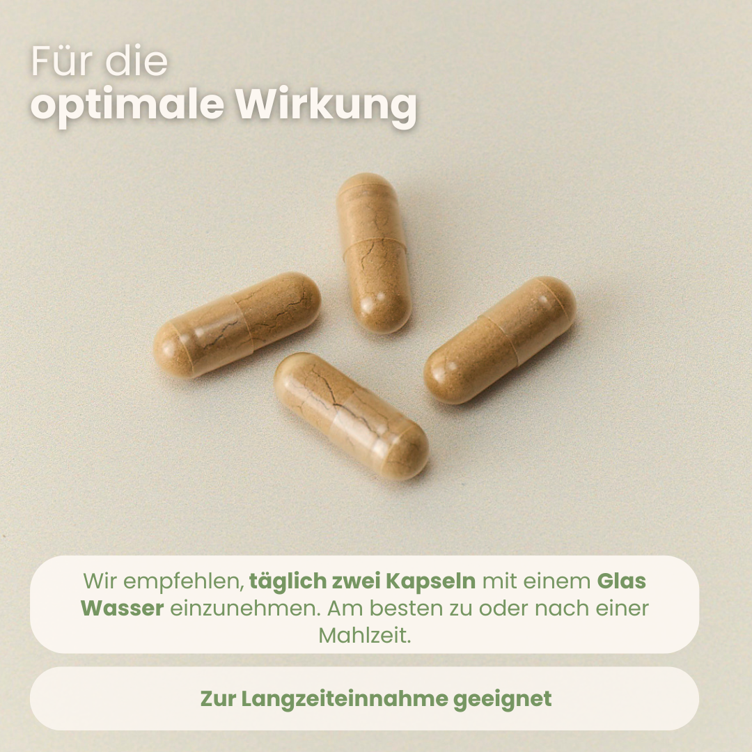 Leberkraft-Set