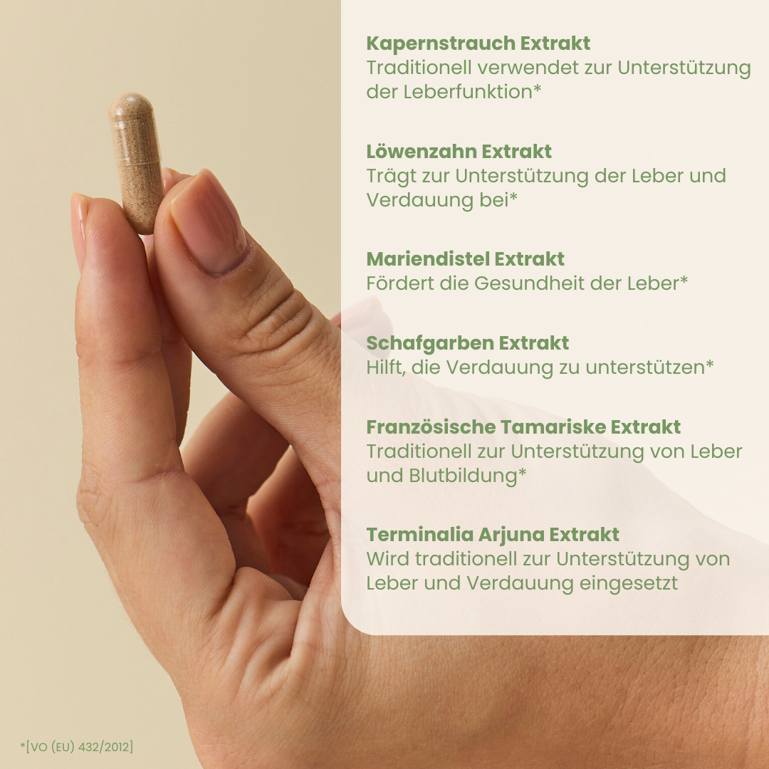 Leberkraft-Kur