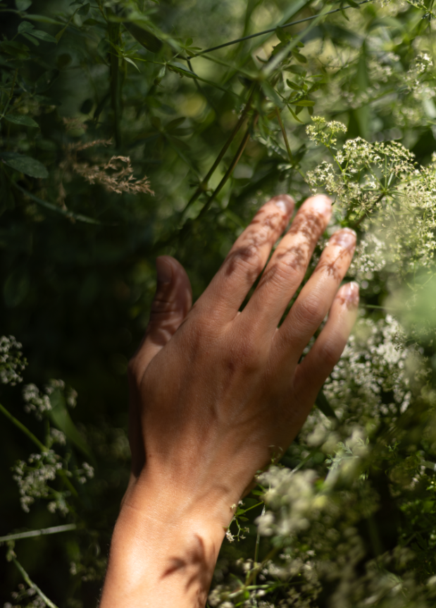 Welcher Ayurveda-Typ bist du?
