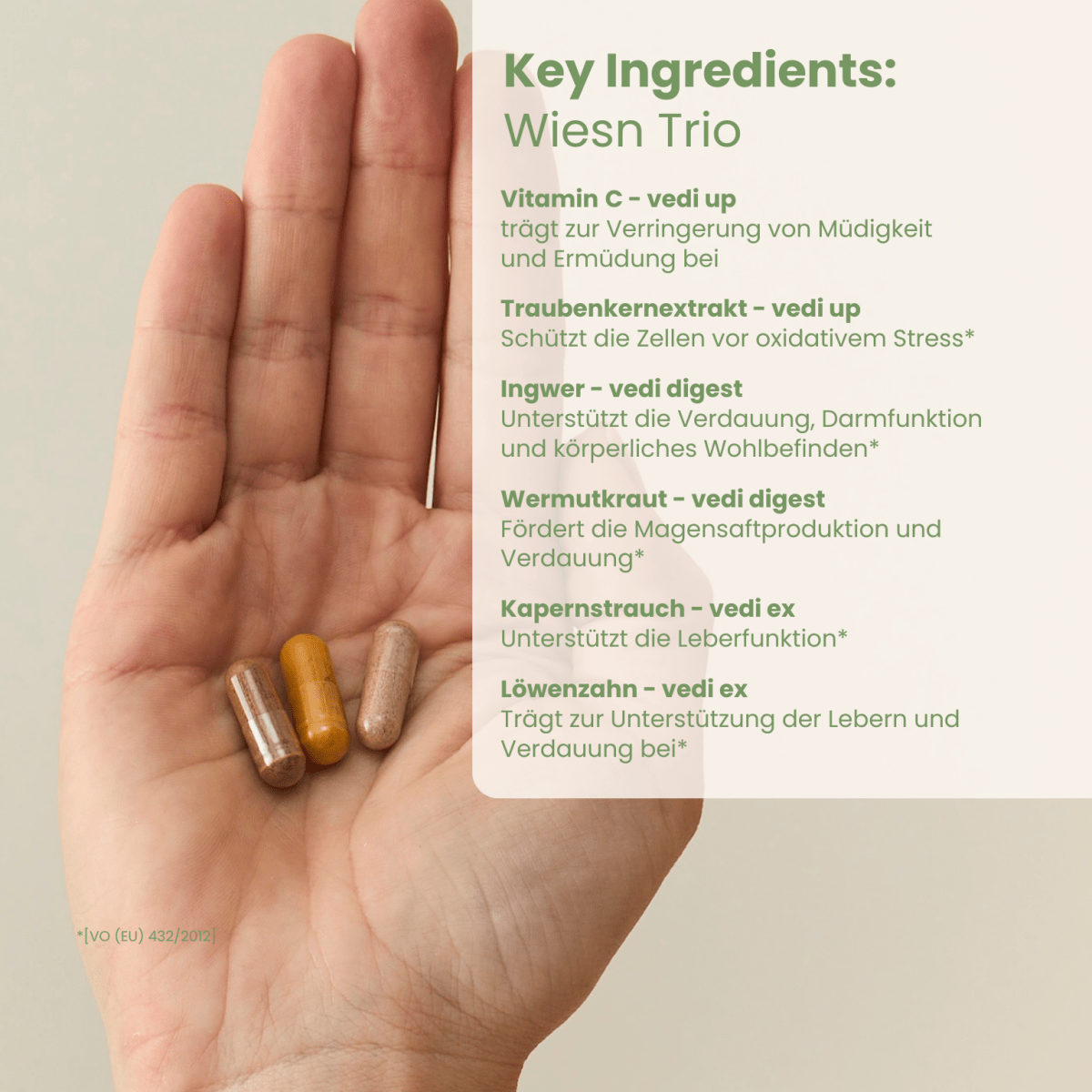 Vedi Wiesn Trio Key-Ingredients-Übersicht mit Vitamin C, Ingwer und Löwenzahn für Oktoberfest-Wohlbefinden