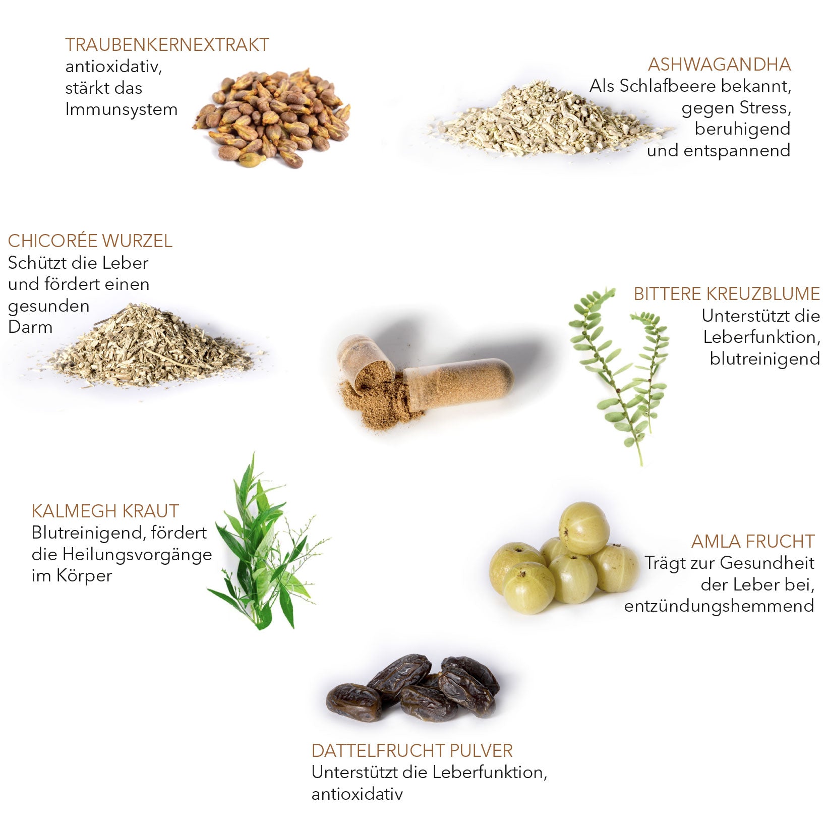 DIE AYURVEDISCHE GUTEN-MORGEN-REZEPTUR AUS KRAFTVOLLEN PFLANZENEXTRAKTEN